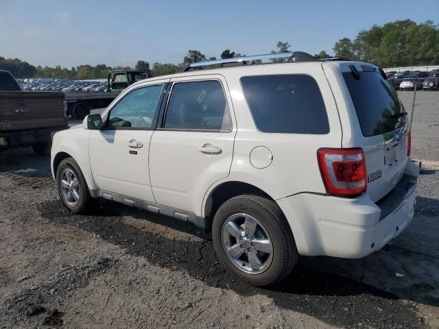 2012 Ford Escape Limited