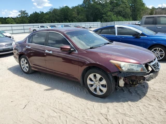 2008 Honda Accord EXL