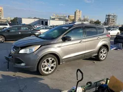 Salvage cars for sale at New Orleans, LA auction: 2013 Ford Escape SEL