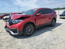 Salvage cars for sale at Lumberton, NC auction: 2022 Honda CR-V EXL