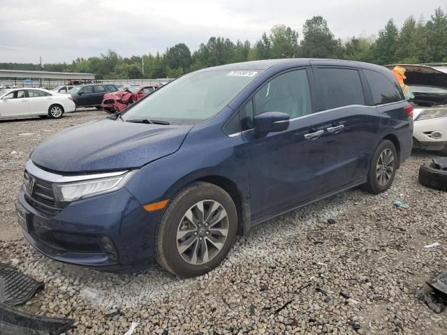 2024 Honda Odyssey EXL