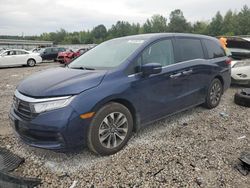 Honda salvage cars for sale: 2024 Honda Odyssey EXL