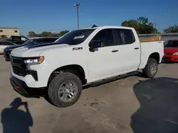 Salvage cars for sale at Wilmer, TX auction: 2024 Chevrolet Silverado K1500 LT Trail Boss