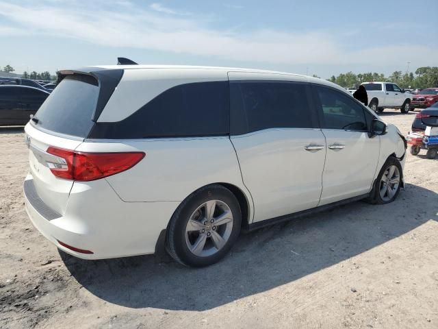 2019 Honda Odyssey EXL