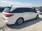 2019 Honda Odyssey EXL