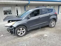 Vehiculos salvage en venta de Copart Earlington, KY: 2016 Ford Escape SE