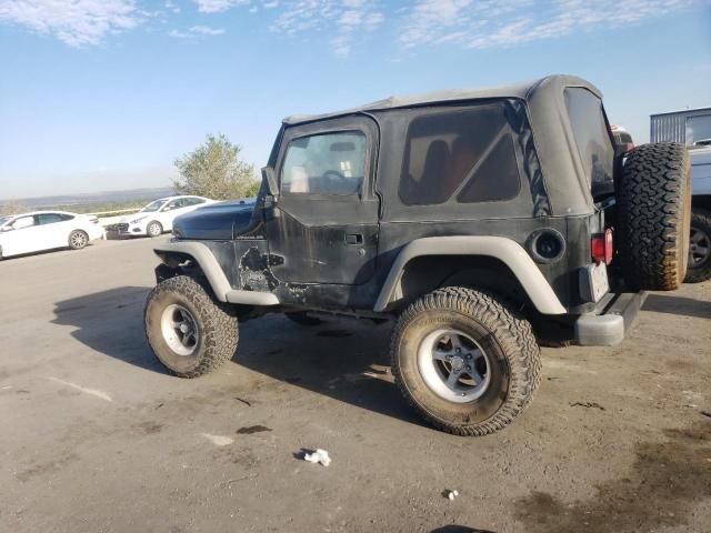 2002 Jeep Wrangler / TJ X