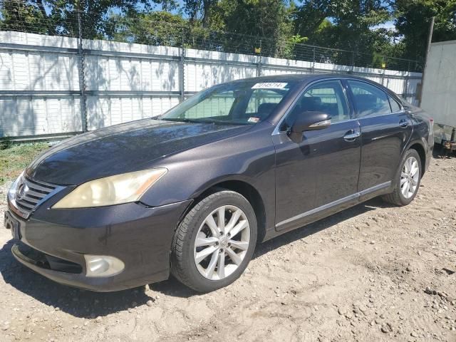 2011 Lexus ES 350