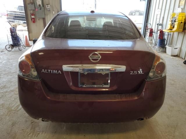 2010 Nissan Altima Base