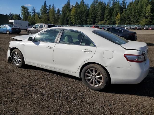 2010 Toyota Camry Hybrid