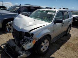 Salvage cars for sale at Tucson, AZ auction: 2012 Ford Escape XLT