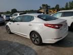 2013 KIA Optima Hybrid