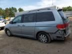 2010 Honda Odyssey EXL