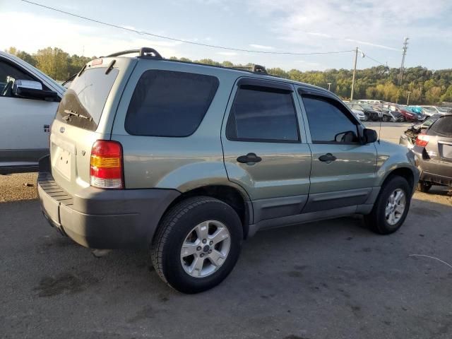 2005 Ford Escape XLT