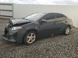 Toyota Corolla l salvage cars for sale: 2015 Toyota Corolla L