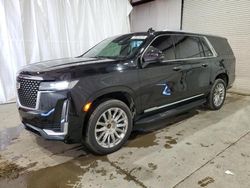 Salvage cars for sale at Central Square, NY auction: 2021 Cadillac Escalade ESV Premium Luxury