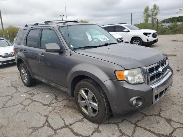 2012 Ford Escape Limited