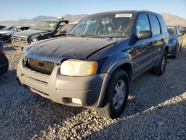 2002 Ford Escape XLT