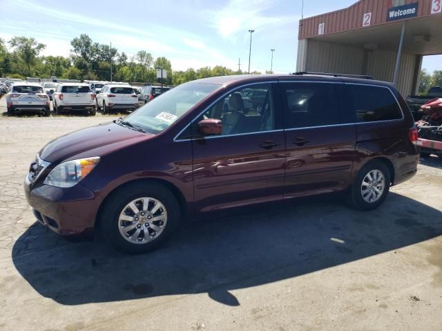 2010 Honda Odyssey EXL