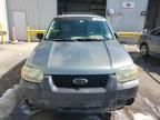 2005 Ford Escape XLT