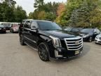 2016 Cadillac Escalade Luxury