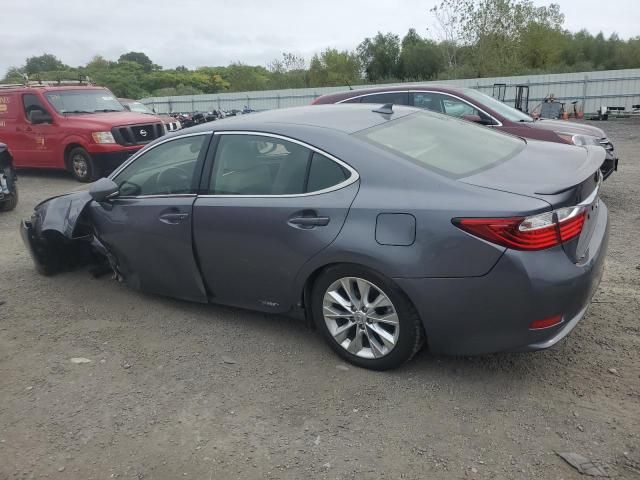 2013 Lexus ES 300H