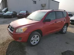 Salvage cars for sale at Tucson, AZ auction: 2009 Toyota Rav4