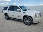 2008 Cadillac Escalade Luxury