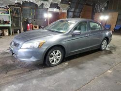 Salvage cars for sale at Albany, NY auction: 2009 Honda Accord LXP