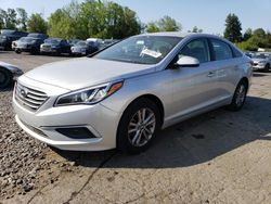 Salvage cars for sale at Portland, OR auction: 2016 Hyundai Sonata SE