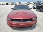 2005 Ford Mustang