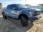 2023 Ford F150 Raptor