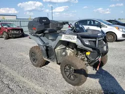 Salvage motorcycles for sale at Ottawa, ON auction: 2020 Arctic Cat ATV