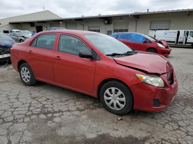 2010 Toyota Corolla Base