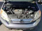 2007 Honda CR-V EXL