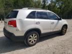 2011 KIA Sorento Base