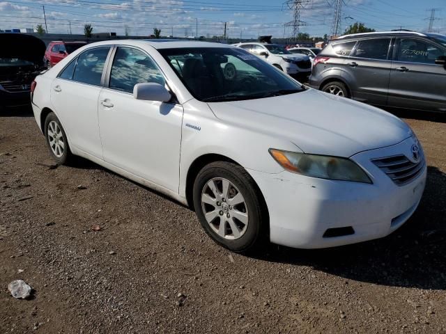 2009 Toyota Camry Hybrid