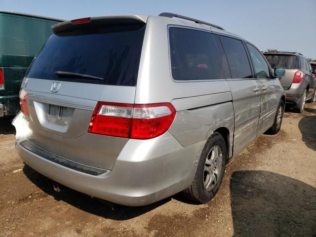 2007 Honda Odyssey EXL