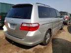 2007 Honda Odyssey EXL