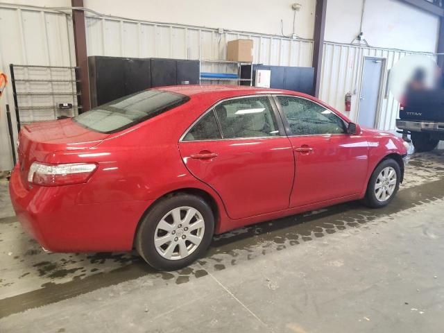 2008 Toyota Camry Hybrid