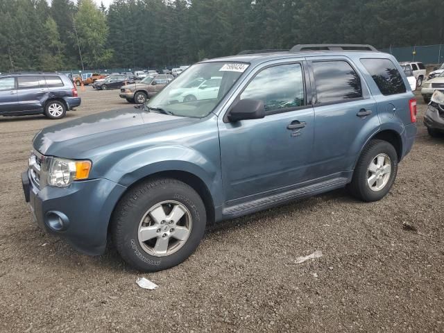 2010 Ford Escape XLT