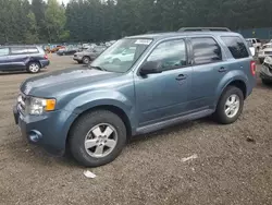 Ford salvage cars for sale: 2010 Ford Escape XLT