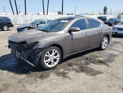 Nissan Maxima salvage cars for sale: 2014 Nissan Maxima S