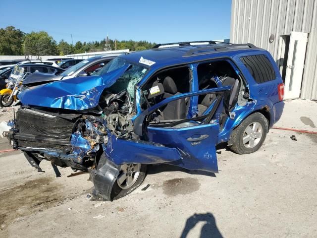 2011 Ford Escape XLT