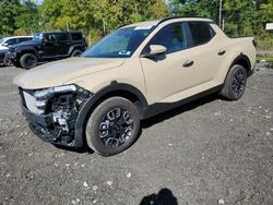 Salvage cars for sale from Copart Marlboro, NY: 2024 Hyundai Santa Cruz SEL