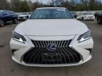 2022 Lexus ES 300H Base