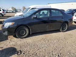 2010 Toyota Corolla Base en venta en Rocky View County, AB