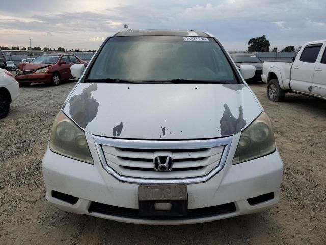 2008 Honda Odyssey EXL