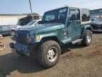 1999 Jeep Wrangler / TJ Sahara