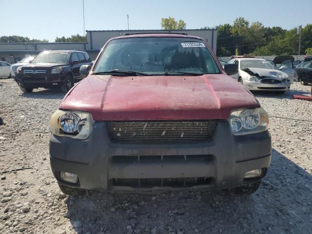 2006 Ford Escape XLT